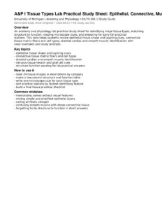 A&P I Tissue Types Lab Practical Study Sheet: Epithelial, Connective, Muscle, and Nervous Tissue