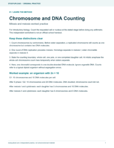 First page of Chromosome and DNA Counting: Mitosis and meiosis worked practice