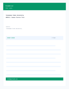 Tennessee State University – Campus Starter Pack